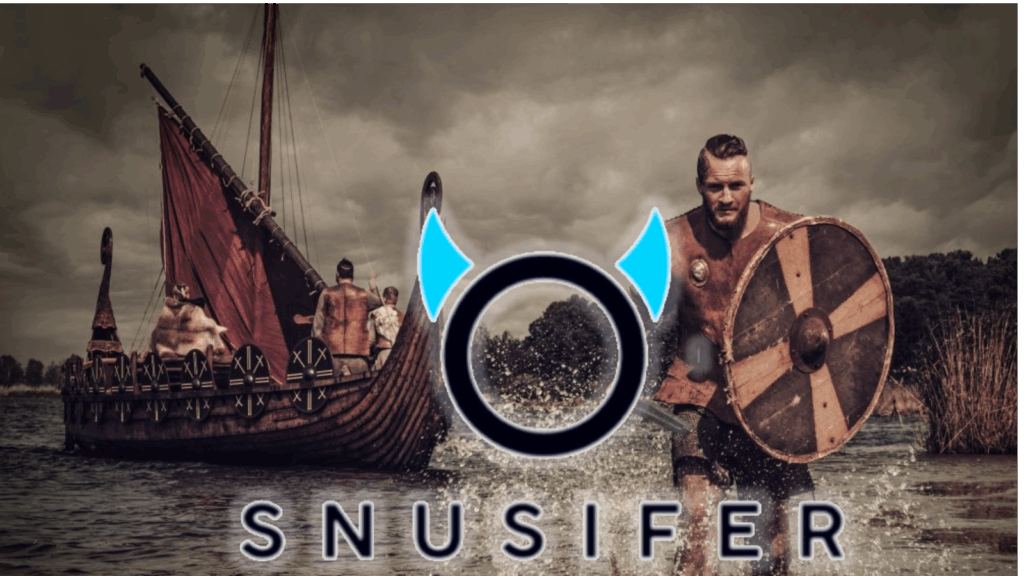 Vikingblog