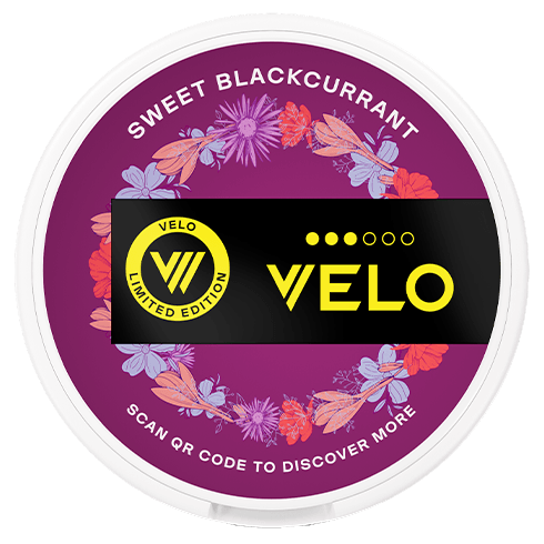 Velo Blackcurrant Nicotine Pouches