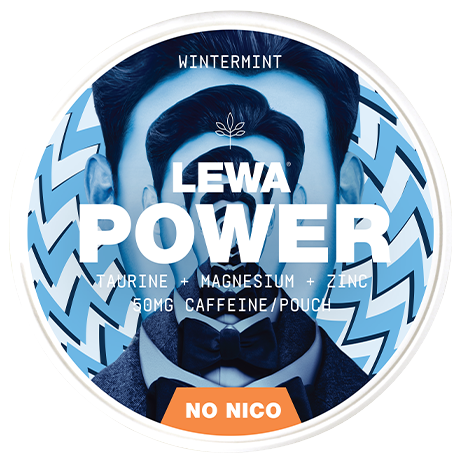 LEWA POWER Wintermint Caffeine 50mg